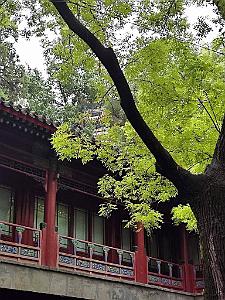 PEKIN - PARC BEIHAI (3)